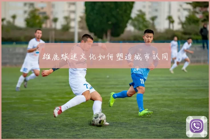 雄鹿球迷文化如何塑造城市认同